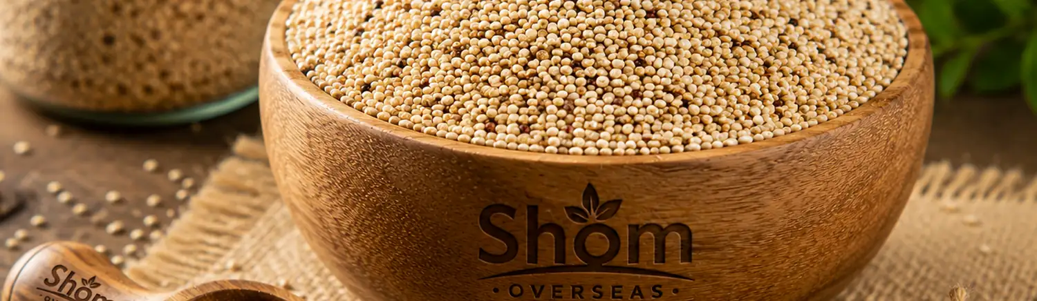 Quinoa supplied in bulk by Shom Overseas LLP