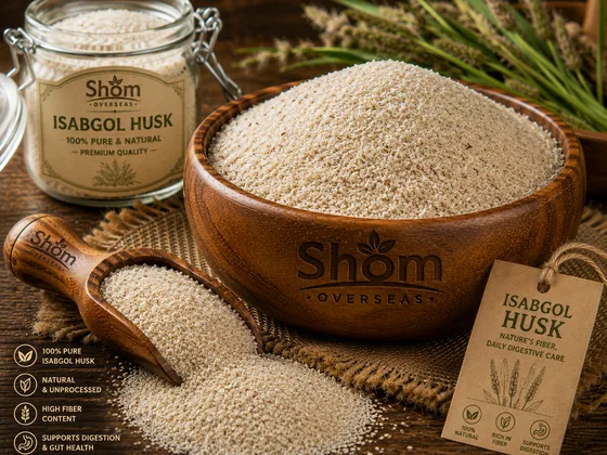 Isabgol Husk (Psyllium) &ndash; bulk supply, sortex graded