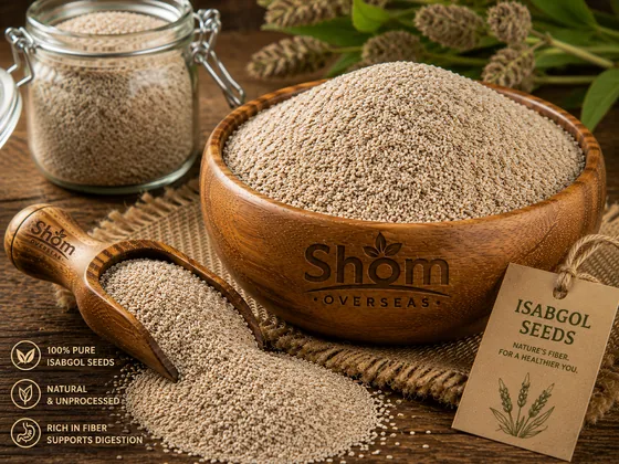 Isabgol Seeds (Psyllium) – bulk supply, sortex graded