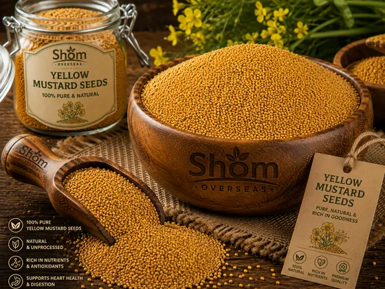 Yellow Mustard Seeds &ndash; bulk supply, sortex graded